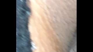 Esposa Anal
