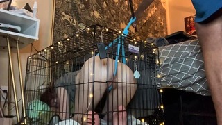 Ftm Puppy se calza y se encierra en una jaula