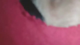 Muslim Girl Saima Like Fucking With Stranger