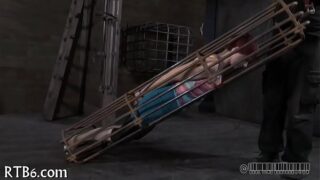 Avid Bondage Porn