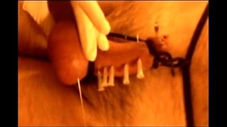 Cock And Balls Skewered Xvid