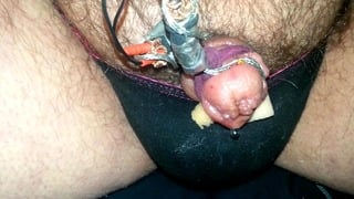 Painful Electro Torture My Tiny Worthless Penis Plzz Humiliate It