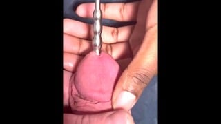 Sounding Rod In Big White Cock