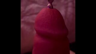 Steel Sounding Rod In Thick White Cock