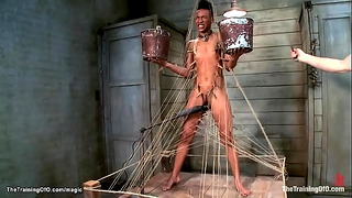 Master Whip Ebony During Training