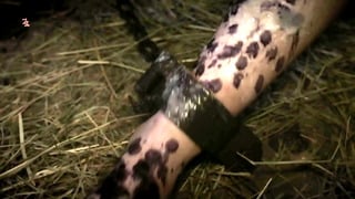 How a cute maid with saggy tits was used and punished for theft in the Middle Ages – Thieving Whore (TRAILER)